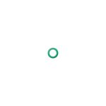 O-Rings Sistemas AC RG1024