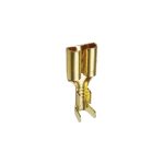 Terminal Standard Femea